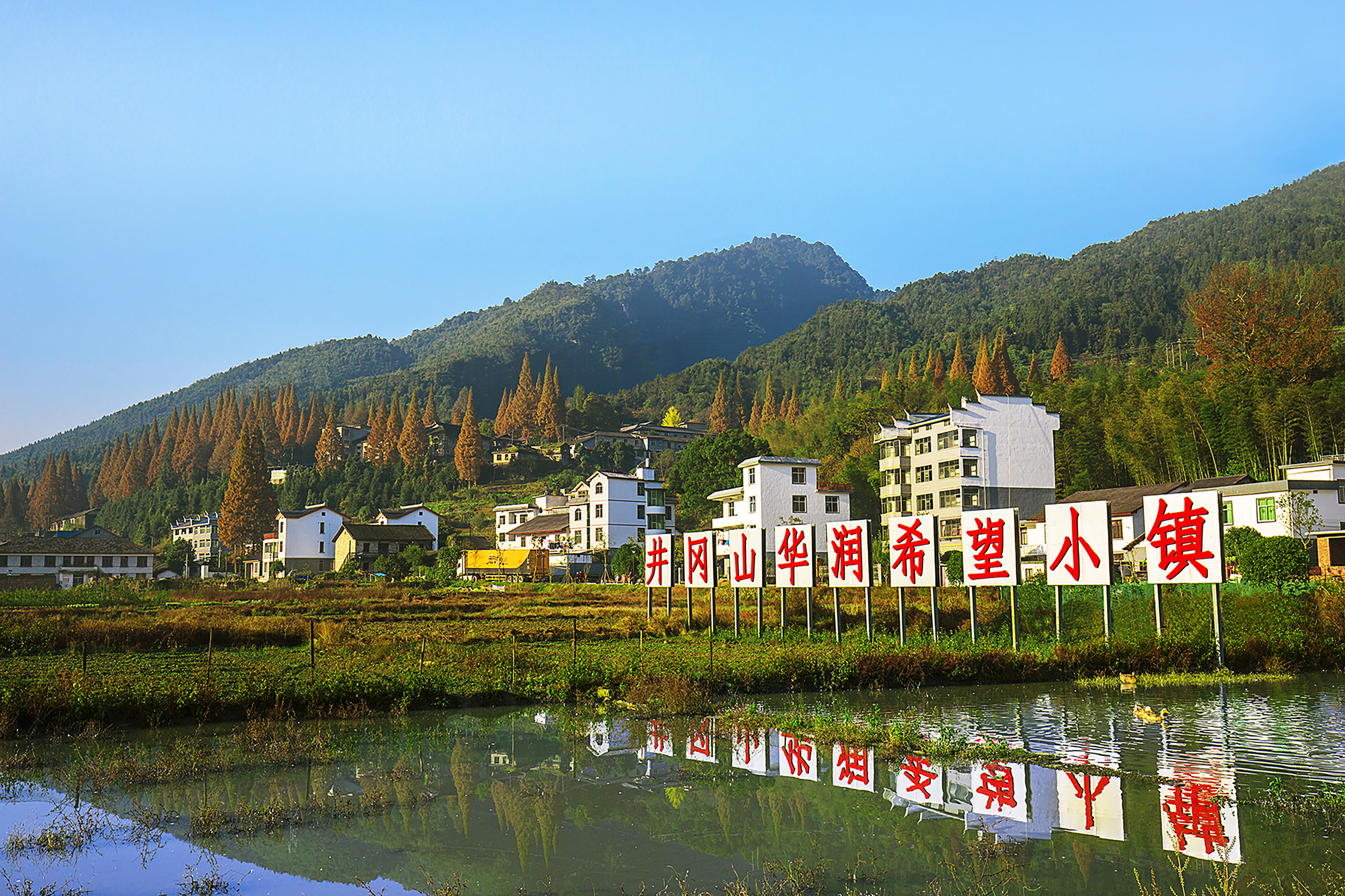 图1、井冈山今年会2024希望小镇.jpg